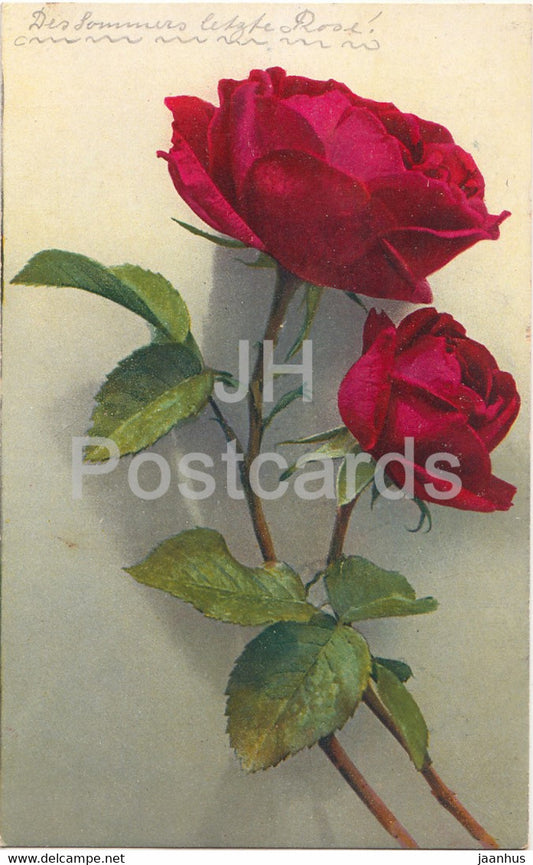 red roses - flowers - Serie - 5 - old postcard - Switzerland - used - JH Postcards