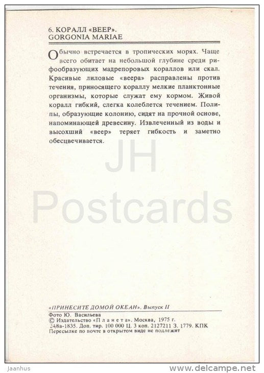 The Wide-Mesh Sea Fan - Gorgonia mariae - coral - 1975 - Russia USSR - unused - JH Postcards