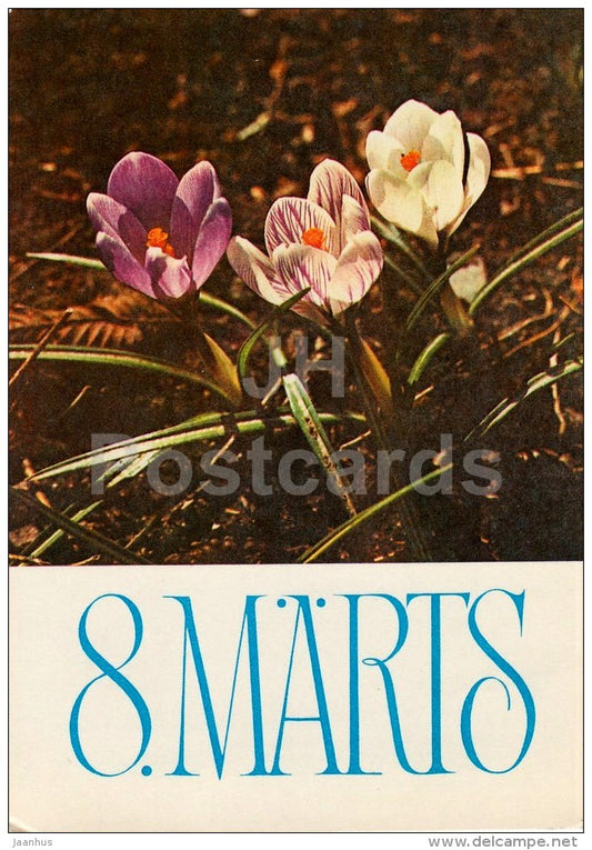 8th March greeting card - Crocus - 1978 - Estonia USSR - unused - JH Postcards