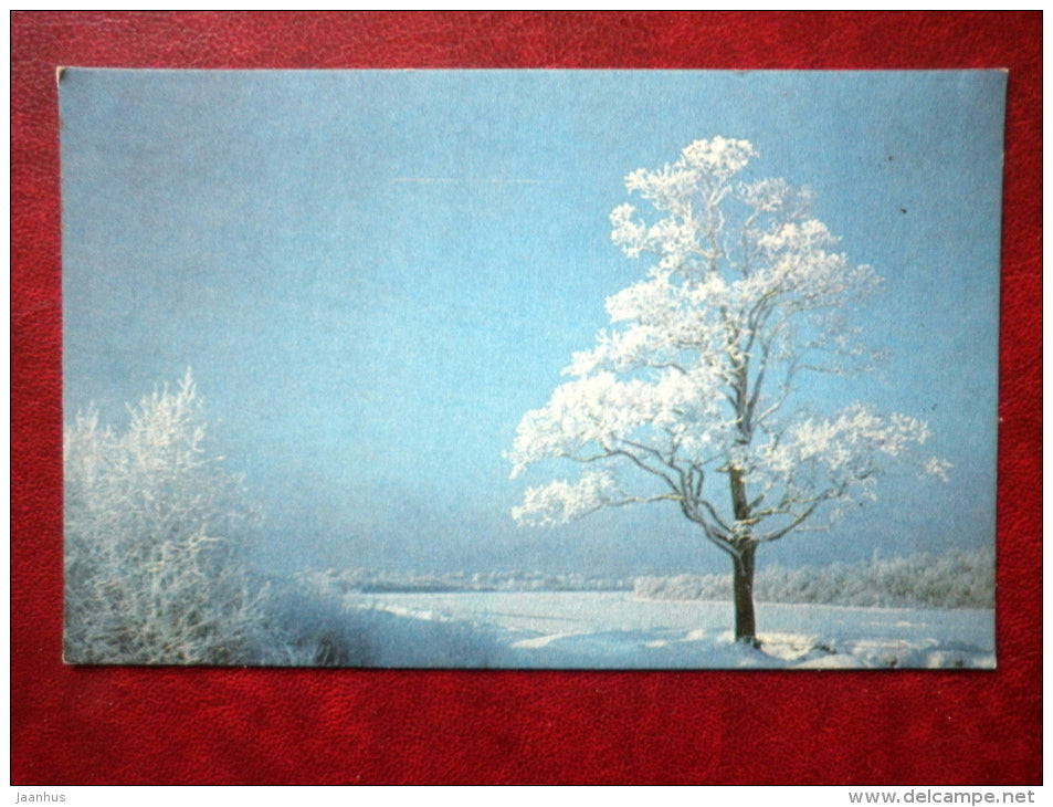 The Gauja river near Adazhi - Latvia USSR - unused - JH Postcards