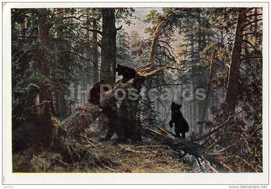 painting by I. Shishkin - 1 Morning in a Pine Forest , 1889 - bear - Russian art - Russia - 1961 - Russia USSR - unused - JH Postcards