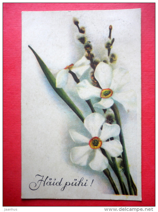 easter greeting card - Daffodils - narcissus - flowers - catkins - MH - circulated in Estonia Kose 1938 - JH Postcards