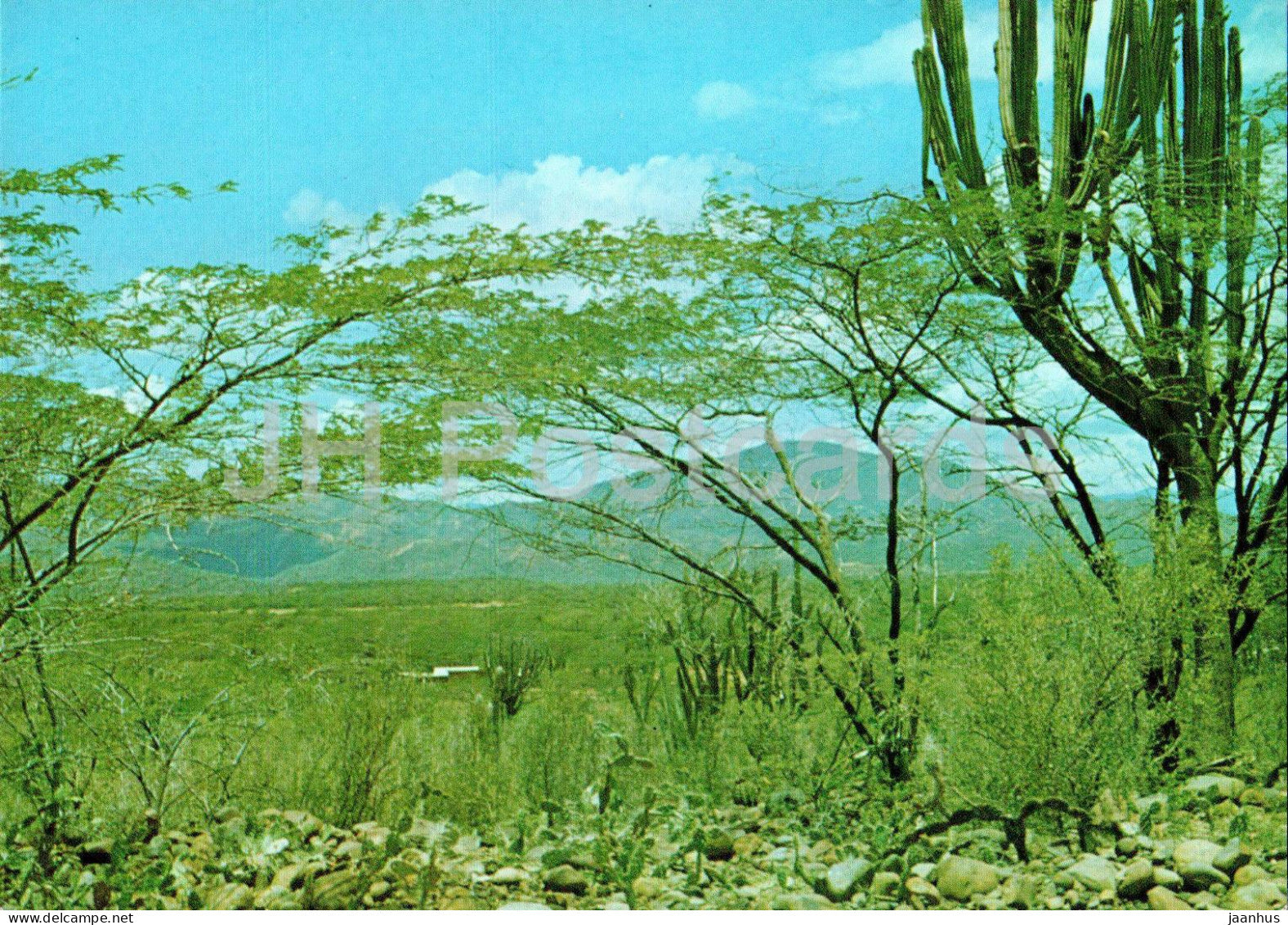Desert landscape in Falcon State - Pejzaz pustynny w stanie Falcon - Venezuela - unused - JH Postcards
