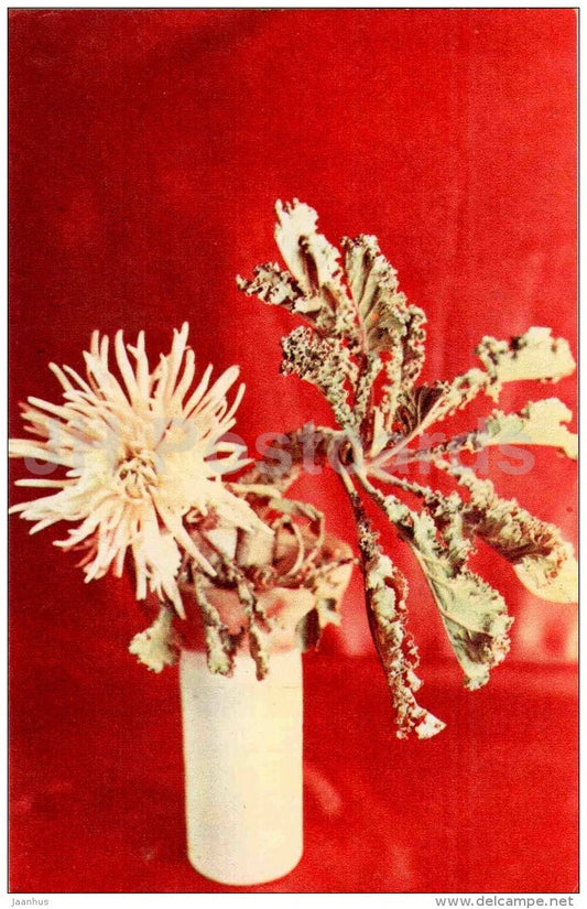 chrysantemum - vase - flower composition - Decorative Bouquets - 1969 - Russia USSR - unused - JH Postcards