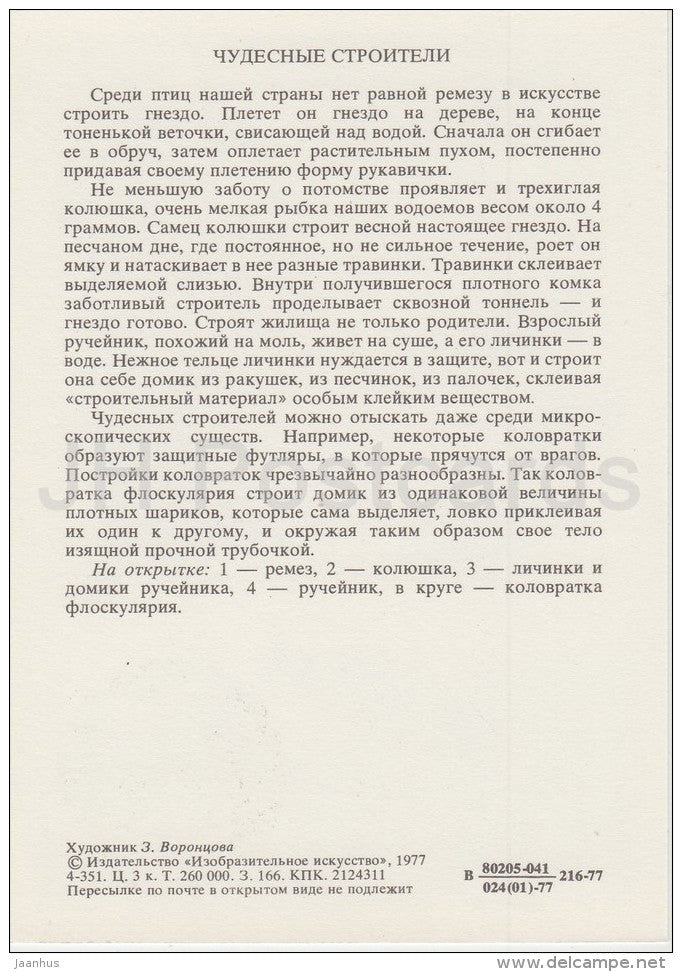 Eurasian penduline tit , bird - Stickleback , fish - Caddisfly -  Life in Water - 1977 - Russia USSR - unused - JH Postcards