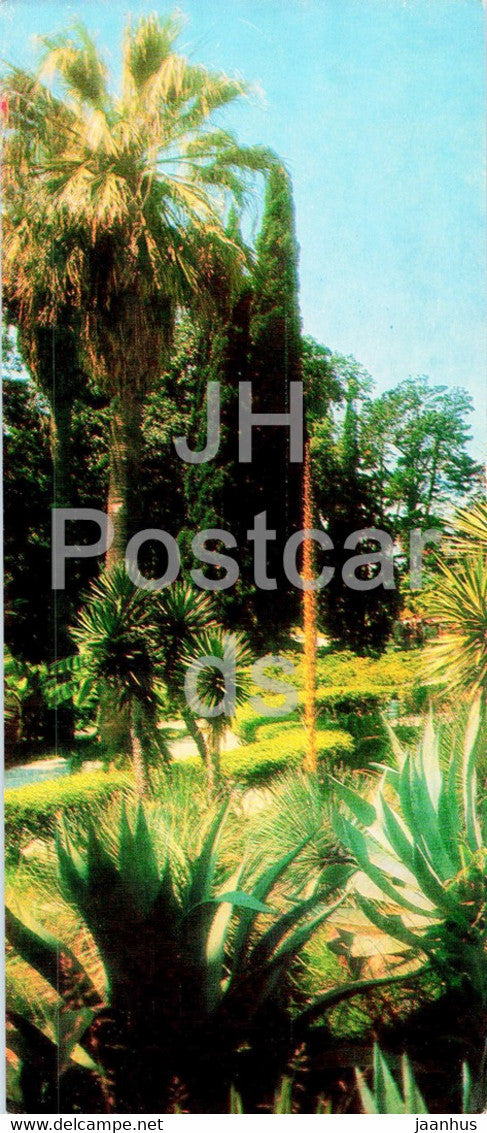 Sochi - Dendrarium - Mexican corner - 1979 - Russia USSR - unused - JH Postcards