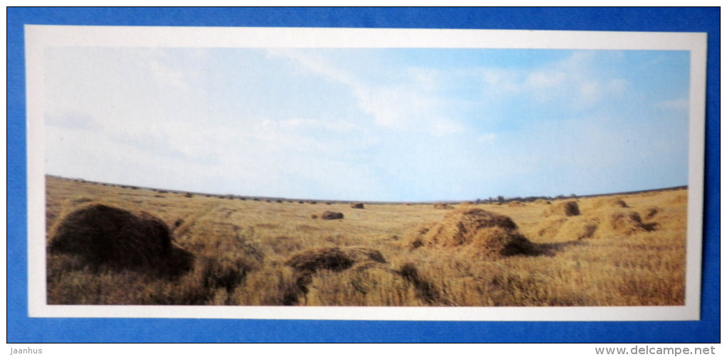 field - Kulikovo Field - Battle of Kulikovo - 1984 - Russia USSR - unused - JH Postcards