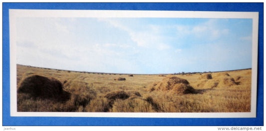 field - Kulikovo Field - Battle of Kulikovo - 1984 - Russia USSR - unused - JH Postcards