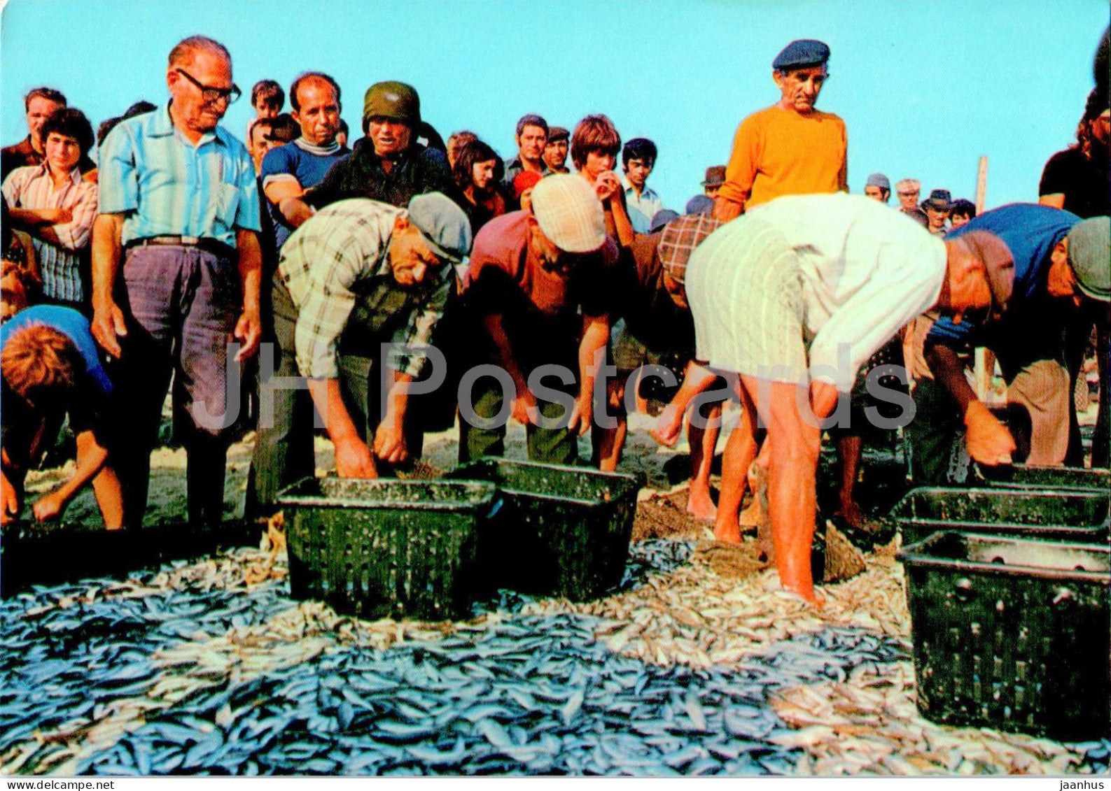 Praia de Mira - Gathering the Fish - fishing - 1499 - Portugal - unused - JH Postcards
