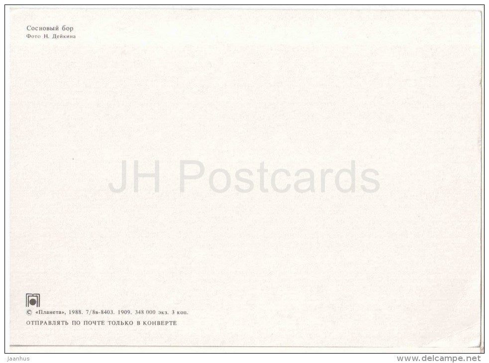 pinery - forest - 1988 - Russia USSR - unused - JH Postcards