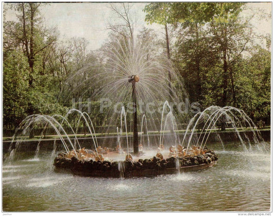 The Sun fountain - fountain - Petrodvorets - 1977 - Russia USSR - unused - JH Postcards