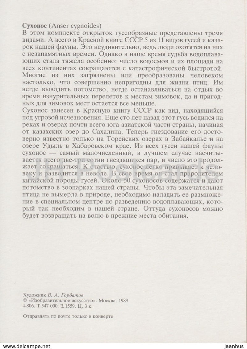 Schwanengans - Anser cygnoides - Illustration von V. Gorbatov - Vögel - 1989 - Russland UdSSR - unbenutzt