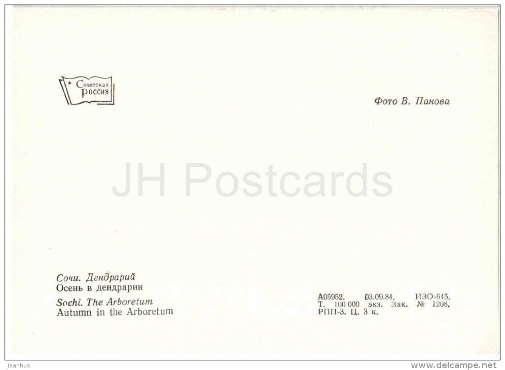 Autumn in Arboretum - Arboretum - Dendrarium - Botanical Garden - Sochi - 1985 - Russia USSR - unused - JH Postcards