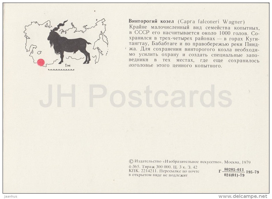 Markhor - Capra falconeri - Endangered species - 1979 - Russia USSR - unused - JH Postcards