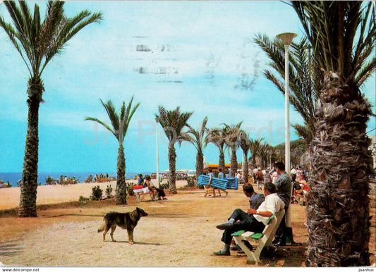 Calella - Paseo de Manuel Puigvert - dog - animals - 47 - Spain - used - JH Postcards