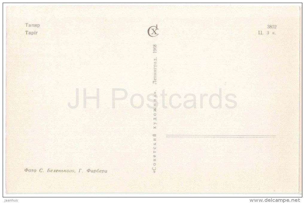 Tapir - Leningrad Zoo - 1968 - Russia USSR - unused - JH Postcards