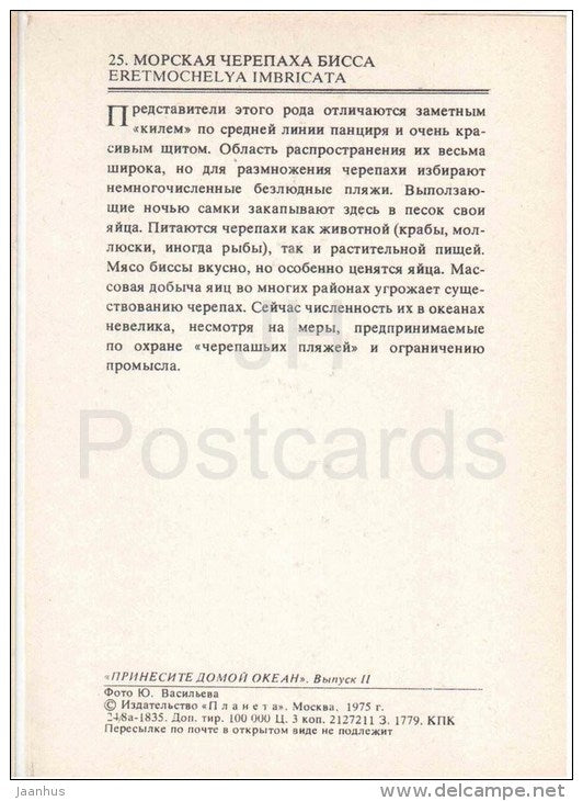 Hawksbill Sea Turtle - Eretmochelys imbricata - 1975 - Russia USSR - unused - JH Postcards