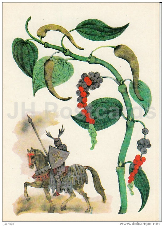 Pepper - knight - Spice Plants - 1983 - Russia USSR - unused - JH Postcards