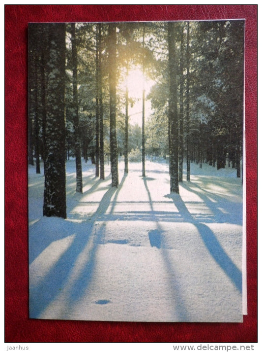 New Year Greeting card - winter forest - 1970 - Estonia USSR - used - JH Postcards