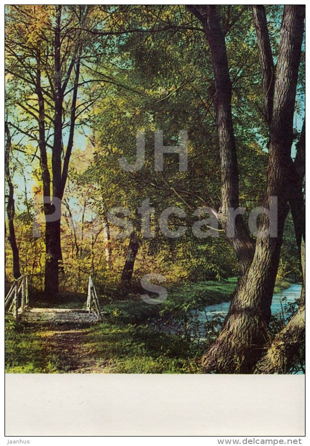 a corner of the lower park - Russian writer Leo Tolstoy Museum - Yasnaya Polyana - 1967 - Russia USSR - unused - JH Postcards
