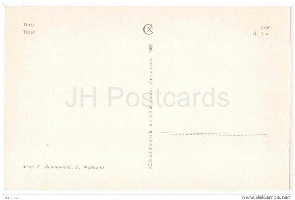 Tiger - Leningrad Zoo - 1968 - Russia USSR - unused - JH Postcards