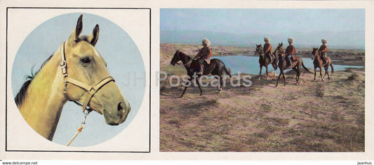 Akhal Teke horse - horse breeds - 1988 - Russia USSR - unused - JH Postcards