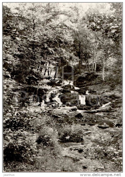 Grüsse aus dem Harz - Natur - nature - Germany - 1974 gelaufen - JH Postcards