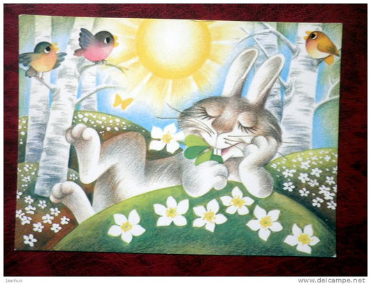 12 Months, May - Rabbit - birds - sun - forest - Estonia - USSR - 1990 - unused - JH Postcards