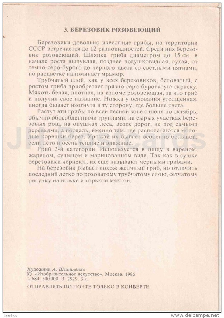 Leccinum roseafractum - Boletus - mushroom - 1986 - Russia USSR - unused - JH Postcards