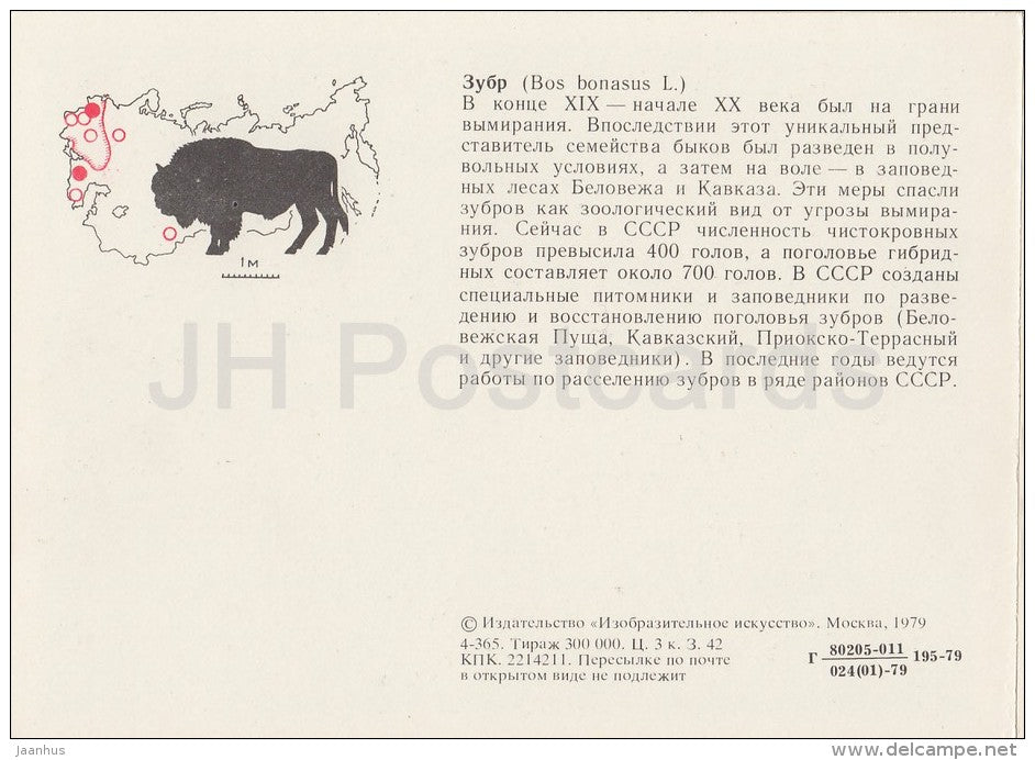 European bison - Bison bonasus - Endangered species - 1979 - Russia USSR - unused - JH Postcards