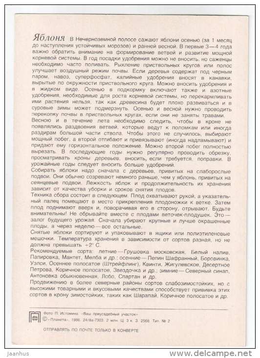 Apple tree - tree - fruit - 1986 - Russia USSR - unused - JH Postcards
