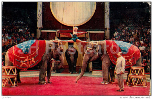 Anatoli Kornilov - elephant - Animals in Circus - 1975 - Russia USSR - unused - JH Postcards