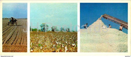 Fergana and Fergana Valley - cotton is the main wealth of the valley - harvest - 1974 - Uzbekistan USSR - unused - JH Postcards