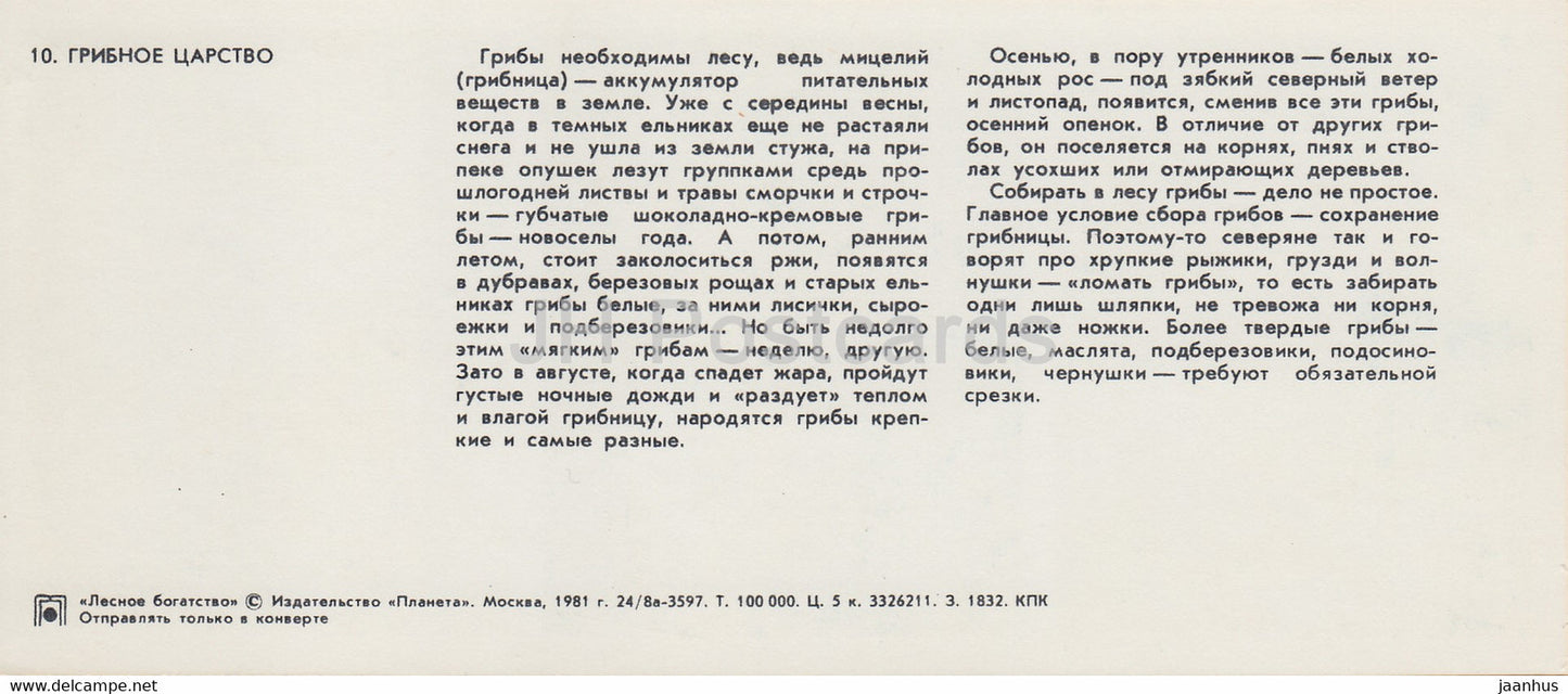 champignons - Leccinum - chanterelle - Richesse forestière - 1981 - Russie URSS - inutilisé
