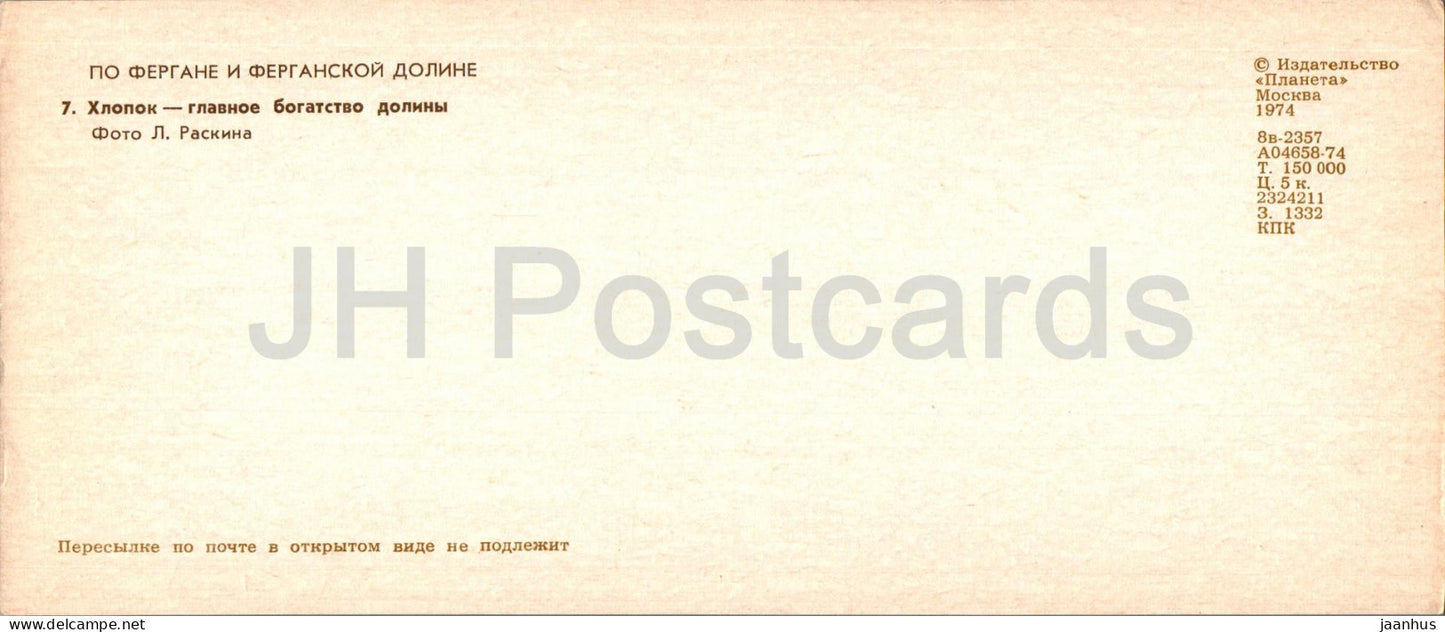 Fergana and Fergana Valley - cotton is the main wealth of the valley - harvest - 1974 - Uzbekistan USSR - unused