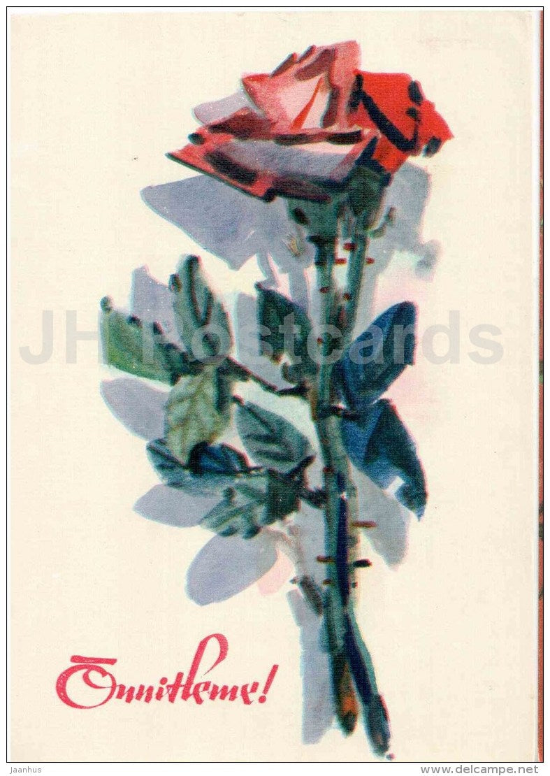red rose - illustration by A. Pilar - flowers - greeting card - 1965 - Estonia USSR - used - JH Postcards