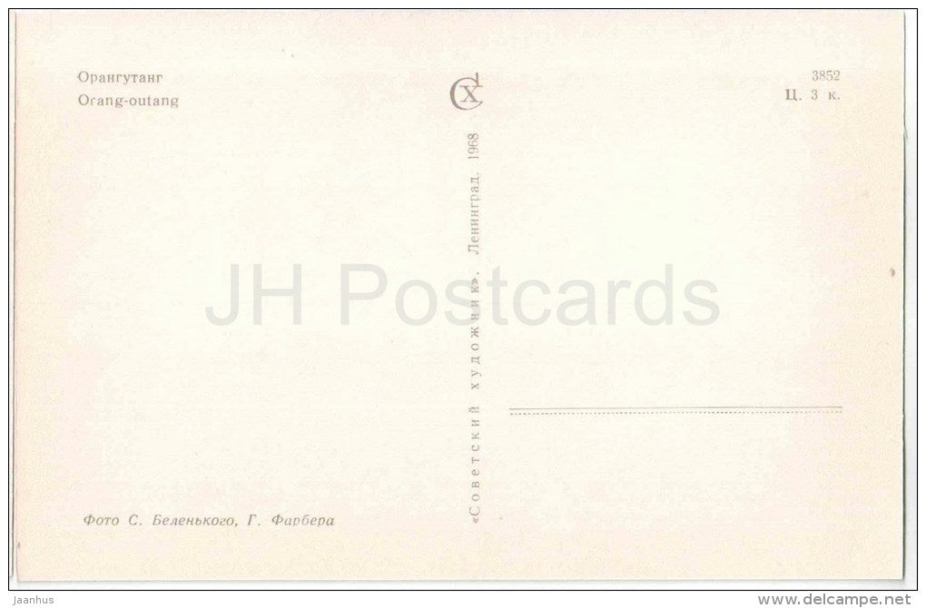 Orangutan - Leningrad Zoo - 1968 - Russia USSR - unused - JH Postcards