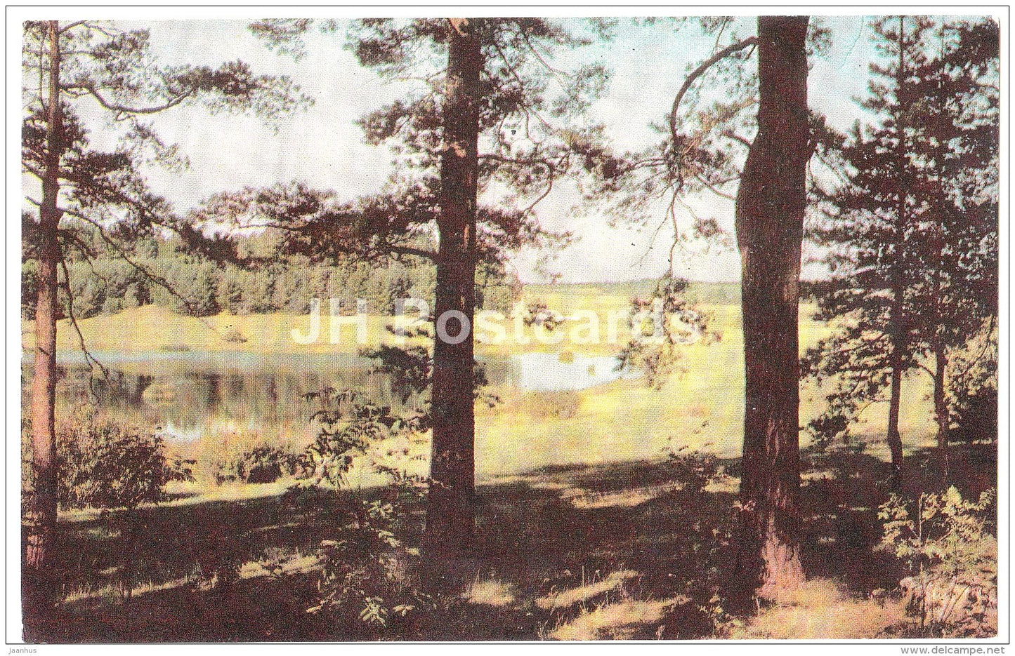 a view of the Malenets lake - Mikhailovskoye - State museum reserve of Pushkin - 1971 - Russia USSR - unused - JH Postcards