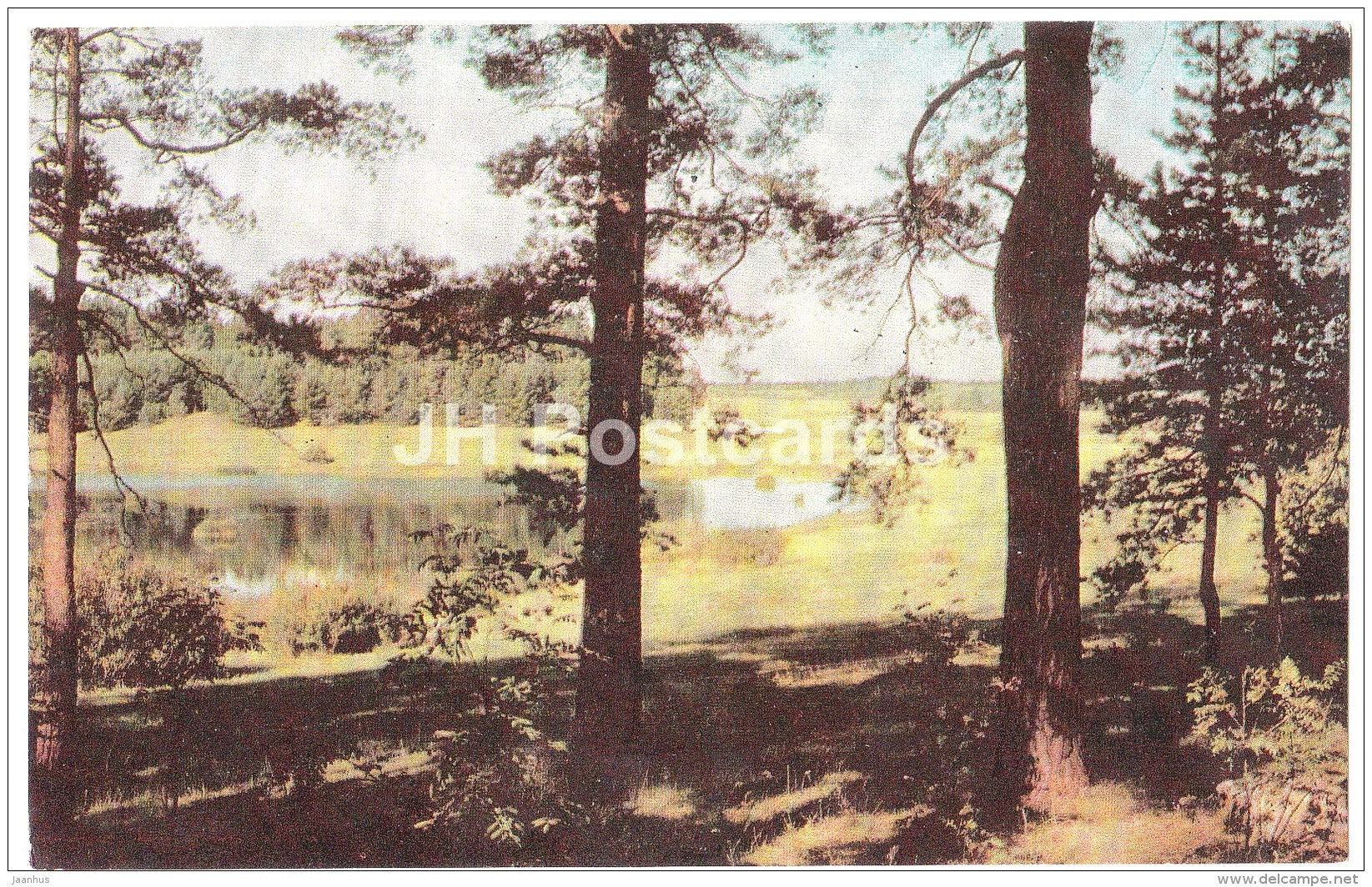 a view of the Malenets lake - Mikhailovskoye - State museum reserve of Pushkin - 1971 - Russia USSR - unused - JH Postcards