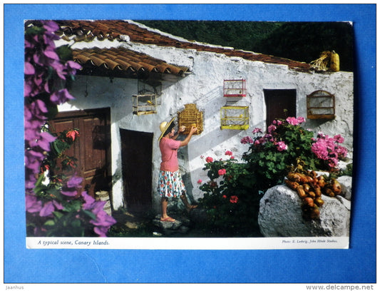 A Typical Scene - Canary Islands - house - flowers - bird cage - sent from Spain to Finland 1987 - Spain - used - JH Postcards