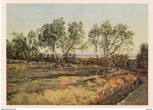 painting by A. Ivanov - Olives at the cemetery in Albano - Russian art - 1982 - Russia USSR - unused - JH Postcards