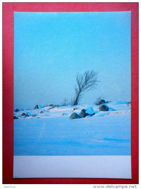 Estonia in Winter - landscape - tree - I - 1988 - Estonia USSR - unused - JH Postcards