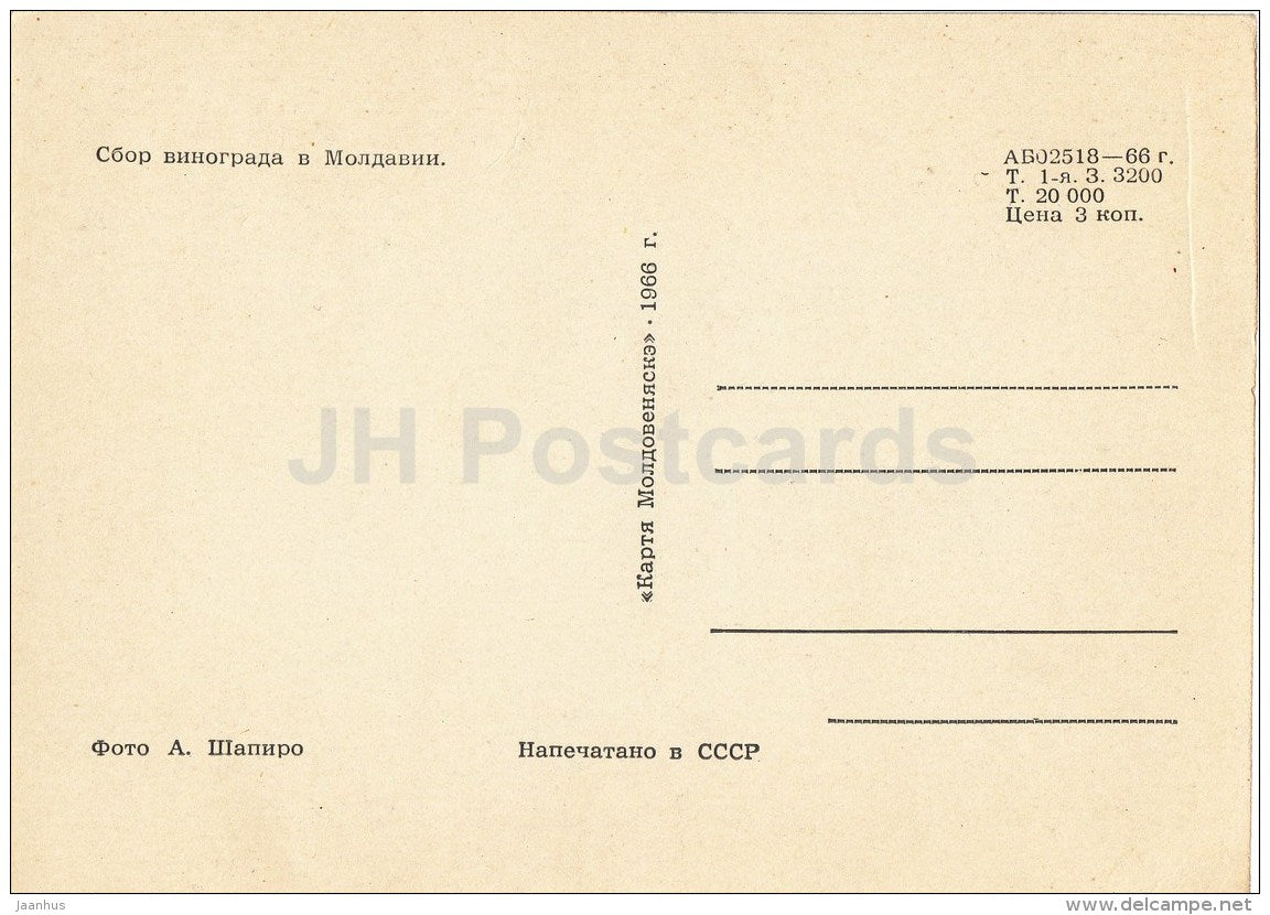 Grape harvest - 1966 - Moldova USSR - unused - JH Postcards