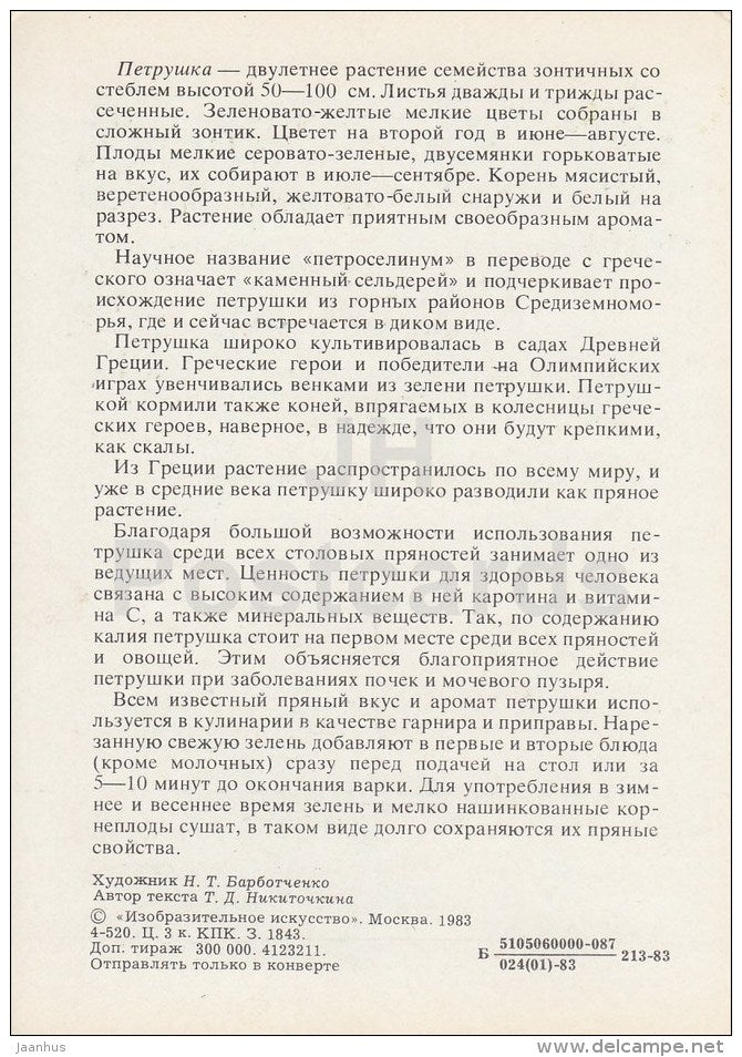 Parsley - Spice Plants - 1983 - Russia USSR - unused - JH Postcards