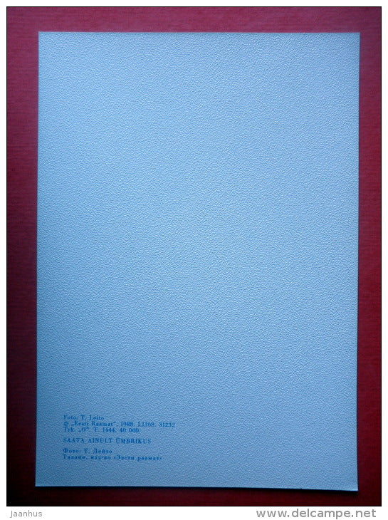 Estonia in Winter - landscape - tree - I - 1988 - Estonia USSR - unused - JH Postcards