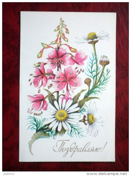 Birthday Greeting card - daisies - flowers - 1978 - Russia - USSR - unused - JH Postcards
