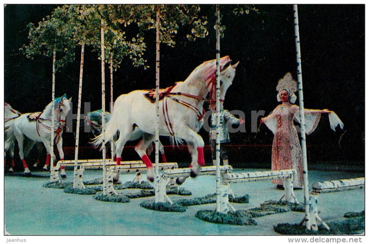 horses - Animals in Circus - 1975 - Russia USSR - unused - JH Postcards
