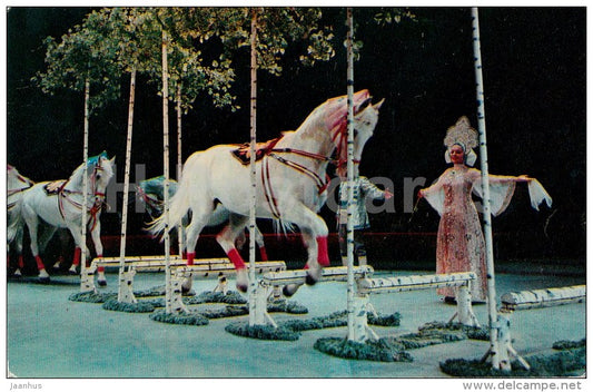 horses - Animals in Circus - 1975 - Russia USSR - unused - JH Postcards