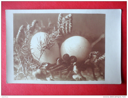 easter greeting card - eggs - photo - old postcard - Estonia - unused - JH Postcards