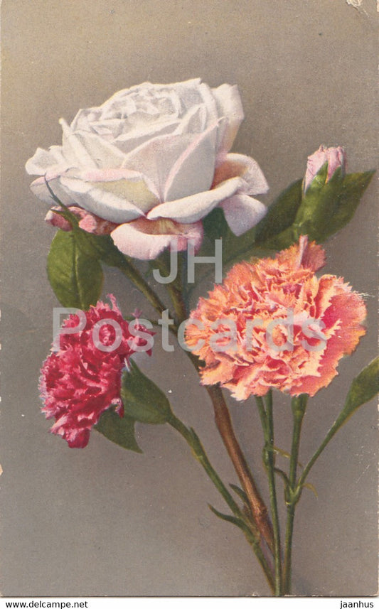 white rose - carnation - flowers - NZG Serie 290 - old postcard - 1922 - Switzerland - used - JH Postcards